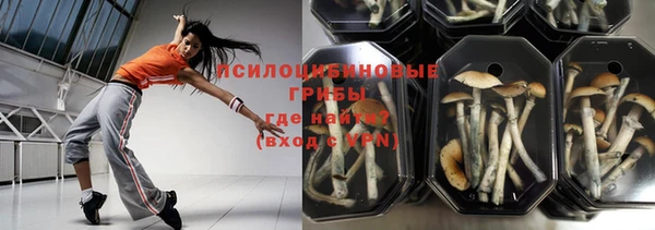 таблы Алзамай