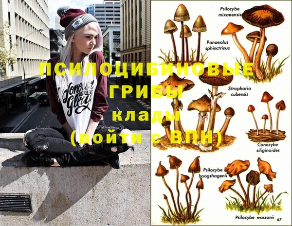 jwh Абаза
